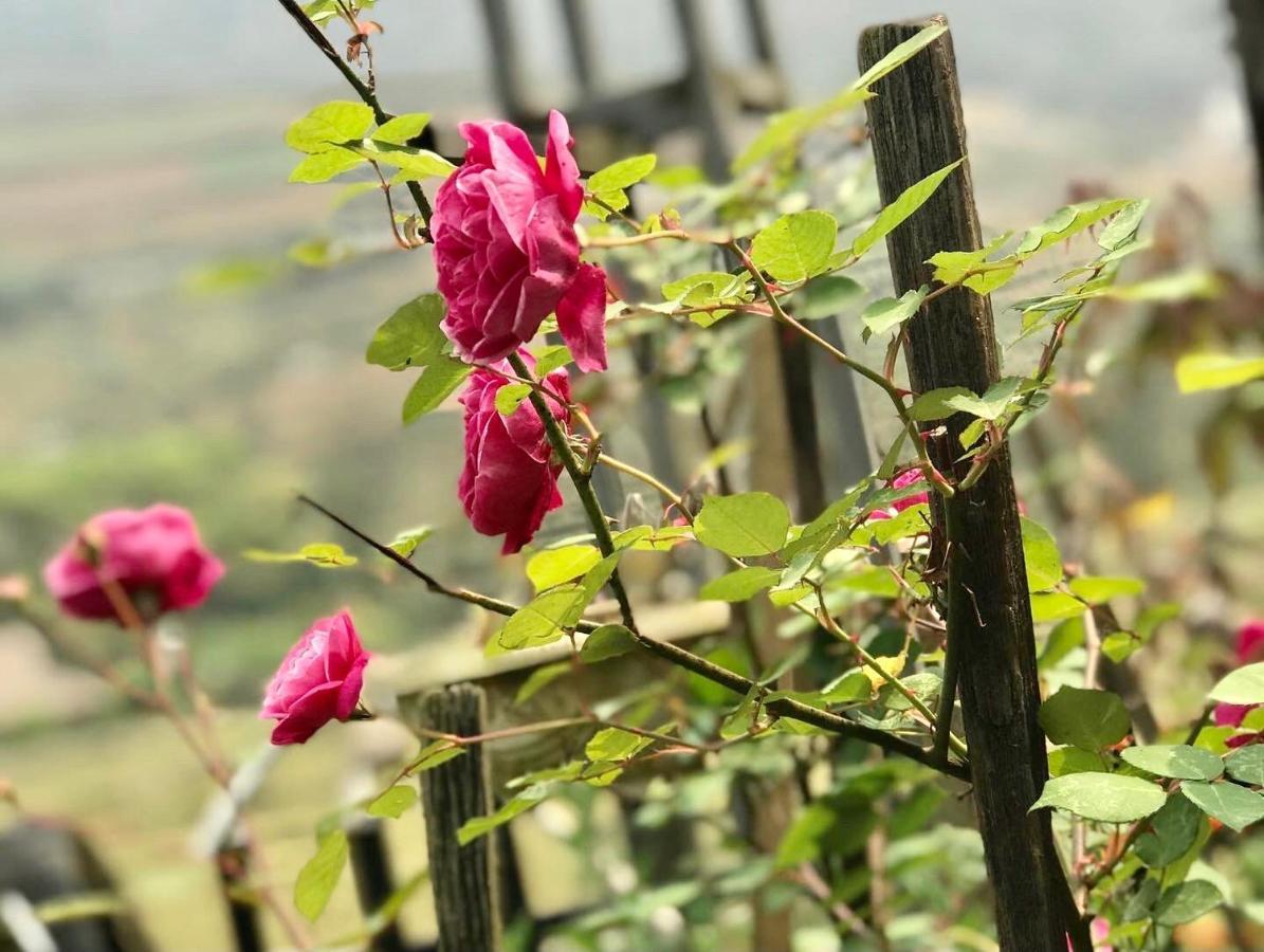 Ta Van Family Homestay Sapa Dış mekan fotoğraf